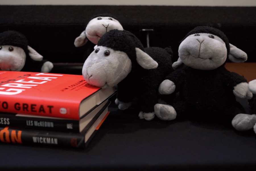 Black sheep plushies on the book table